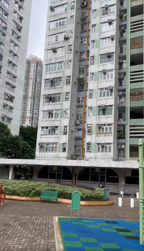 馬騮仔將軍澳放飛自我 寶林邨簷篷上狂奔。fb「將軍澳主場」截圖 馬騮仔將軍澳放飛自我 寶林邨簷篷上狂奔。fb「將軍澳主場」截圖