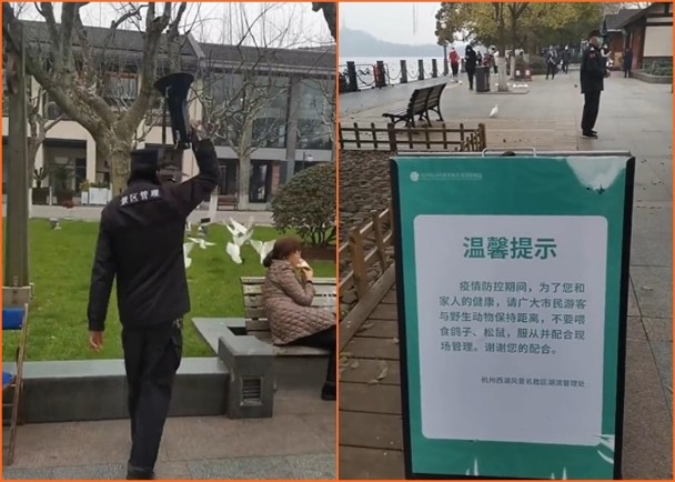 保安赶鸽子。网图