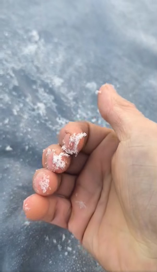 攝：馮先生 / 2026年1月8日 / 大埔大窩村@天文台FB圖片