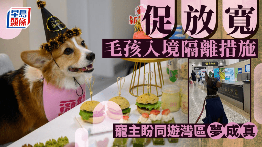 有網民希望港府放寬動物出入境限制,實現「人寵灣區遊」。