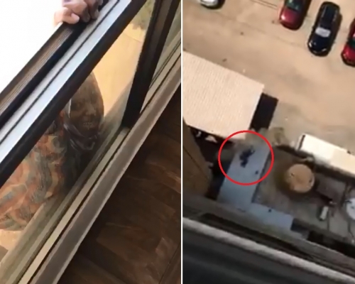 女傭單手抓著窗框，懸吊在7樓窗外。網圖