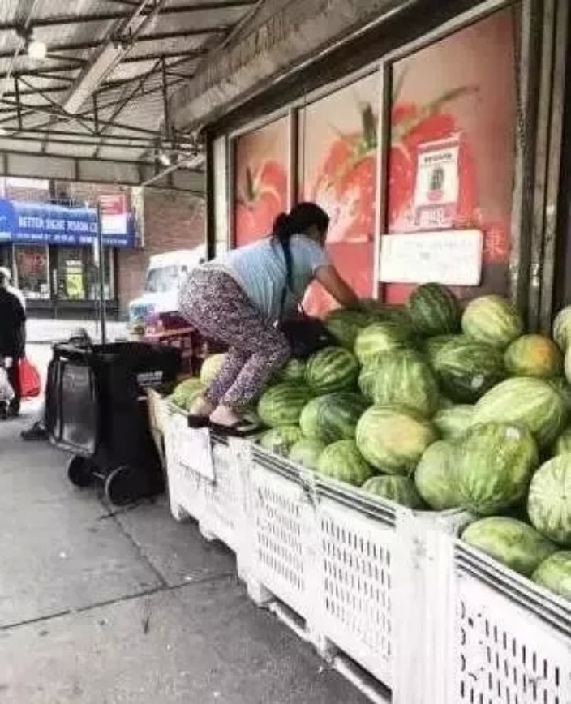網圖