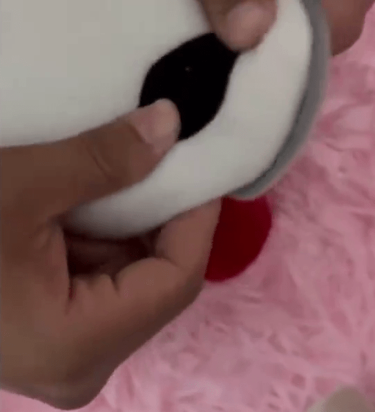 廣西女網購布公仔，驚現眼睛藏鏡頭。  新京報