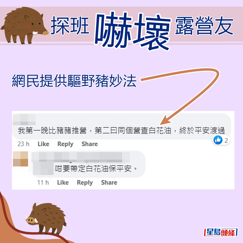 網民提供驅野豬妙法。fb「香港人露營分享谷」截圖