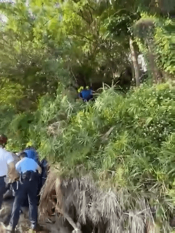 警方及消防破林救出傷者。FB:西區少年警訊 警方及消防破林救出傷者。FB:西區少年警訊