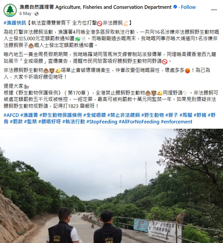 漁護署不時票控非法餵飼野生動物人士。「漁護署」fb截圖 漁護署不時票控非法餵飼野生動物人士。「漁護署」fb截圖