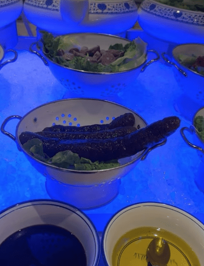 唐莘拍片惡意批評中國菜，海參是她其中一樣吐嘈的菜式。網上圖片