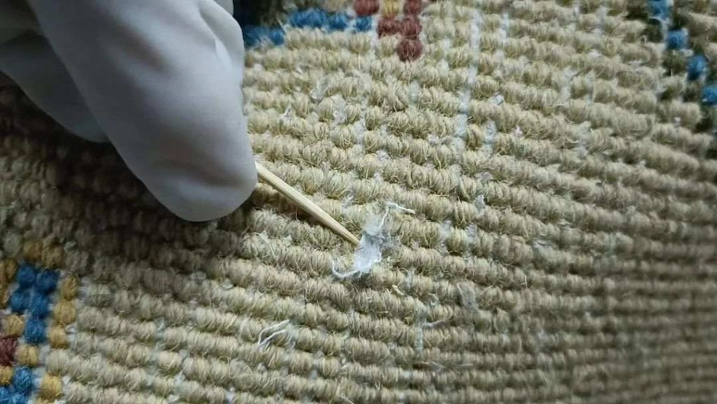 毒品藏在織入地毯的透明細膠管中。