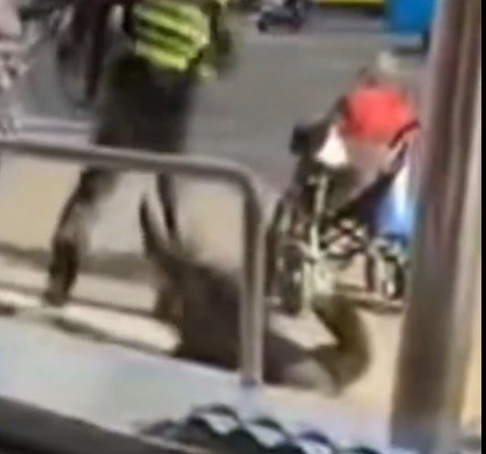 福建有城管与老人口角，用身体将对方撞死。抖音