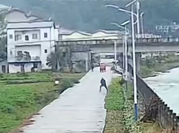 重庆七旬翁掟石驱赶黑熊，遭黑熊反追抓伤。