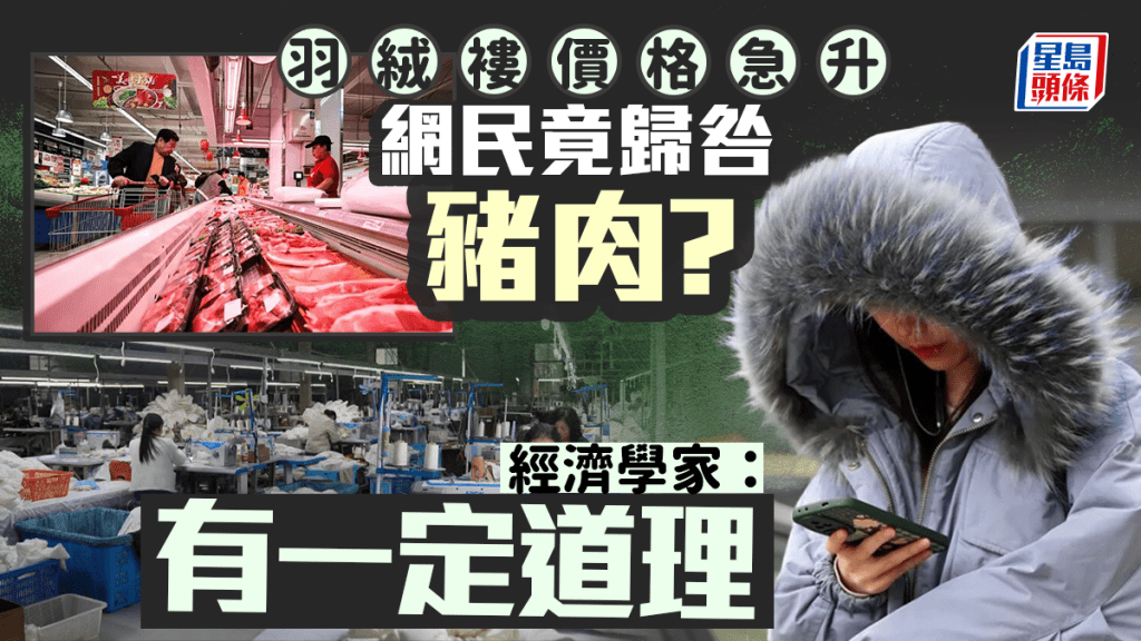 羽絨服瘋漲價︱鴨絨每噸¥58萬網民怪罪豬肉  經濟學家：有一定道理