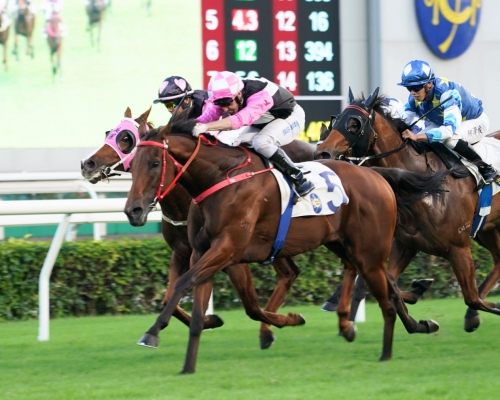 今日「美麗多多」以首名過終點,而「美麗笑容」則跑第二,構成「美麗」連贏。 Curry攝