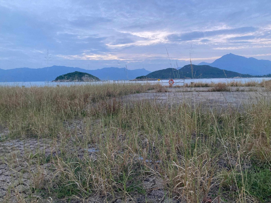 當人類活動停止之際,植物便慢慢佔據了島上的地方。香港電台提供 當人類活動停止之際,植物便慢慢佔據了島上的地方。香港電台提供