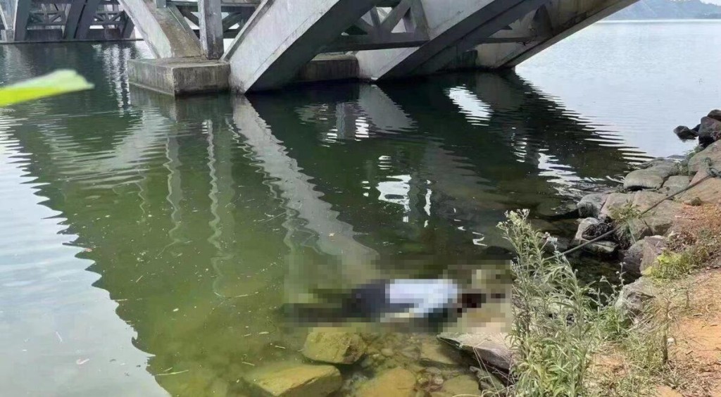 網傳湖南常德副市長龐波跳江自殺屍體漂浮江面。