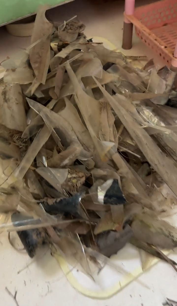 山东有民众有拆走喜鹊的鸟巢，遭封窗大报复。