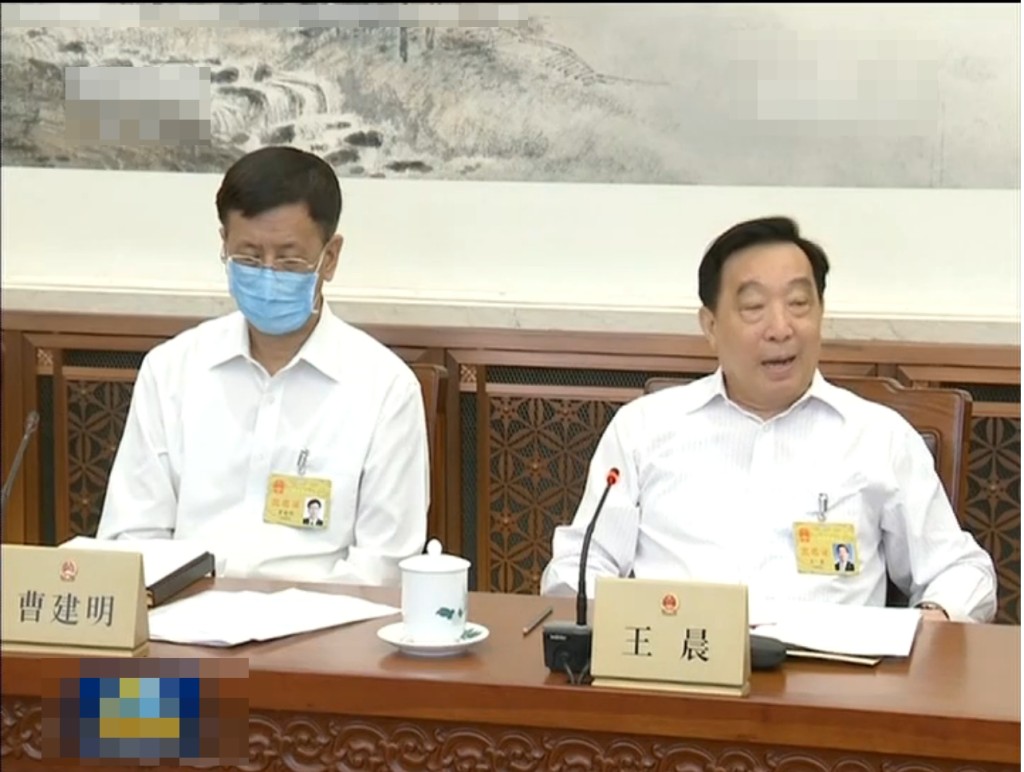 人大副委員長王晨。影片截圖