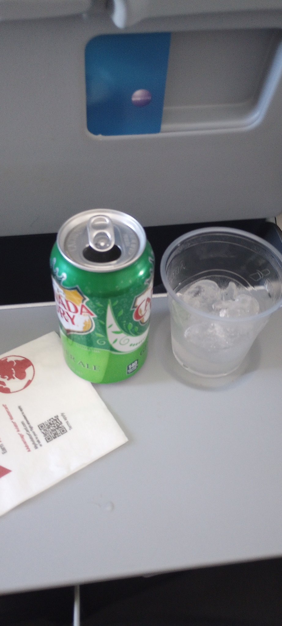 許多網民也表示在航機上飲薑汁汽水風味更佳。