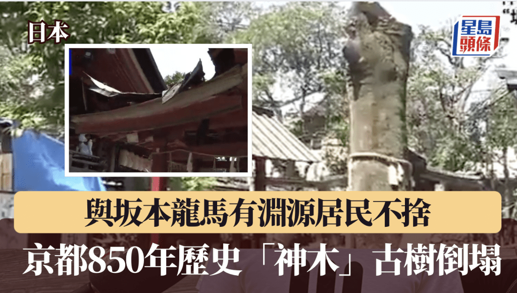 NHK畫面截圖
