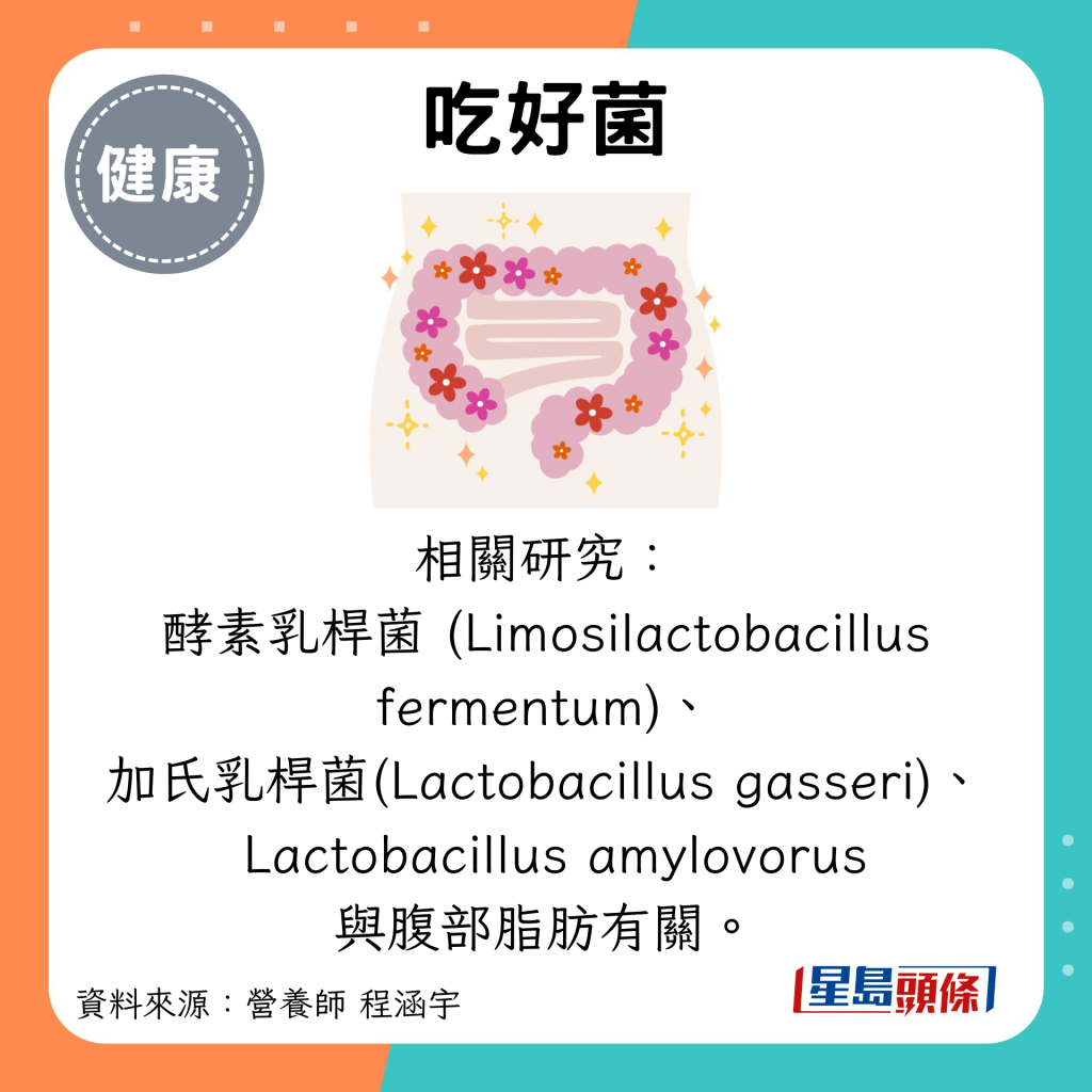 吃好菌：相关研究： 酵素乳杆菌 (Limosilactobacillus fermentum)、 加氏乳杆菌(Lactobacillus gasseri)、  Lactobacillus amylovorus 与腹部脂肪有关。