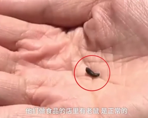 林女把「硬物」吐出來,一看竟是老鼠屎。網圖