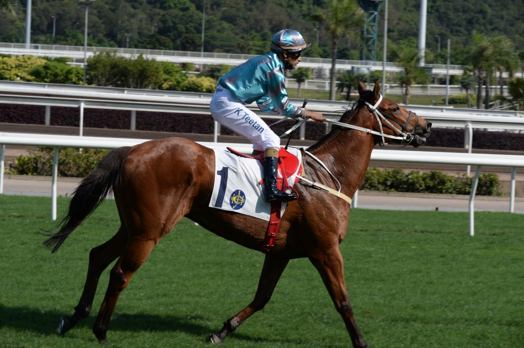 七俠五義團體首匹養的馬「將俠」在港取得三冠七亞八季，表現忠心準繩。