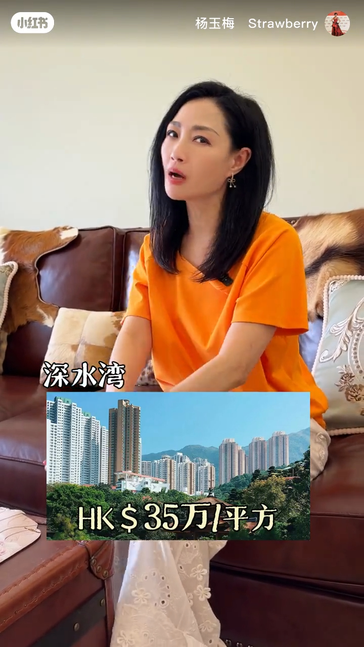 楊玉梅表示在香港200萬,只夠買個廁所。 楊玉梅表示在香港200萬,只夠買個廁所。