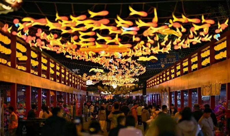 深圳愛國路迎春花市開幕，打卡位眾多。微信@深圳大件事