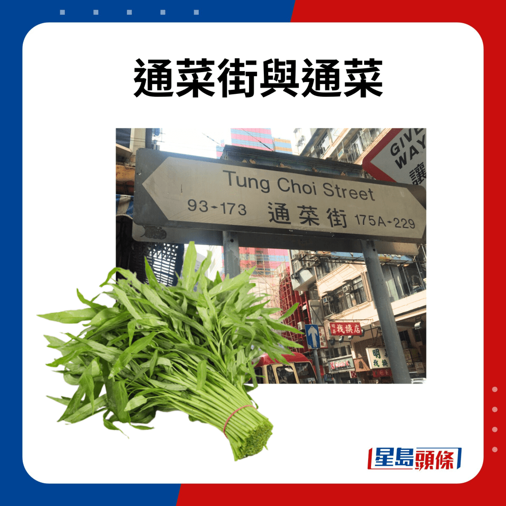 黃庭桄 – 香港街頭打卡熱｜香港街頭打卡聯想，買通菜就去通菜街。