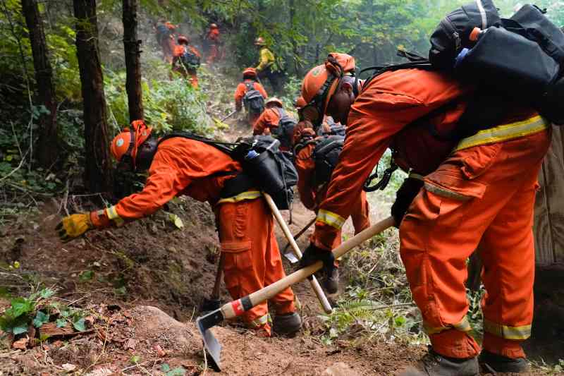 消防员努力阻止山火蔓延。AP