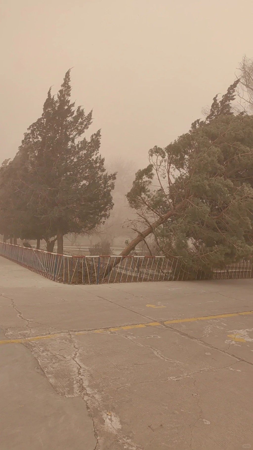 新疆特强沙尘暴，整个城市也被沙尘吞噬。小红书