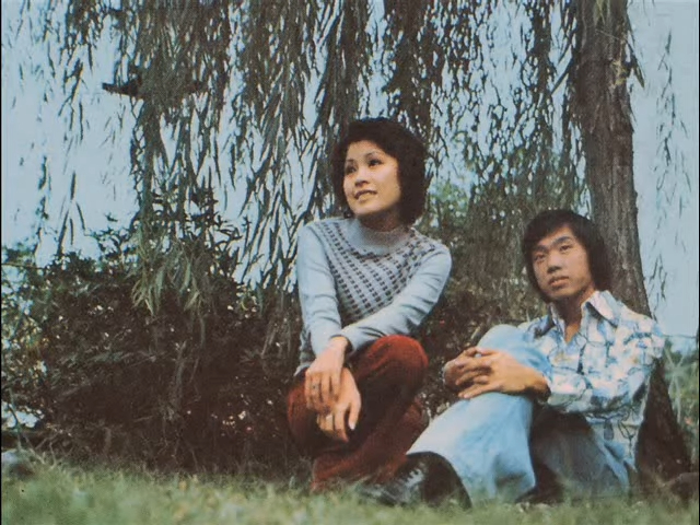 黃愷欣於1970年代以歌星身份入行，推出過唱片。