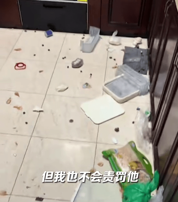 雪柜被炸得“粉身碎骨”，现场一片狼藉。