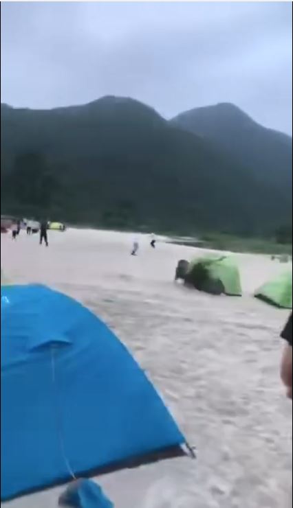 一隻野豬突然出現,並在看準一個綠色營後高速將它拖走。影片截圖