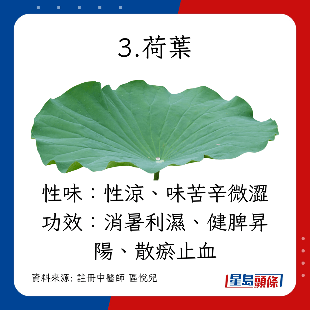 小暑节气养生｜宜吃10款食物清热 荷叶