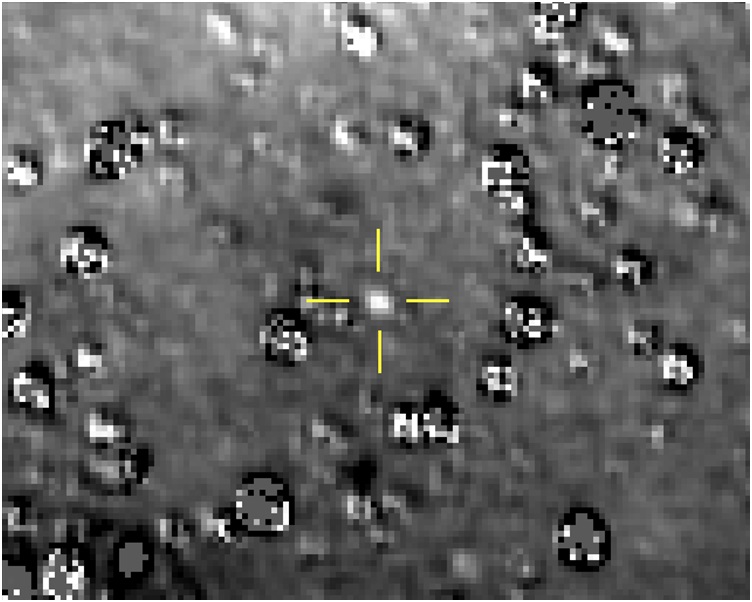 「新視野號」近距離飛越距地球約65億公里的小行星Ultima Thule。AP 