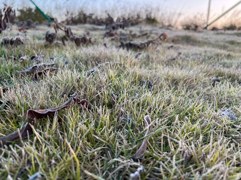 氣象台預計這股冷空氣，將令廣東在9日早晨出現最凍天氣。