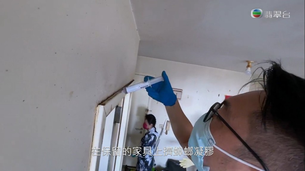 有滅蟲專家幫手杜絕蟑螂問題。