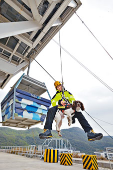 領犬員李怡章表示，搜索犬比想像中強壯，暫時未試過受傷。