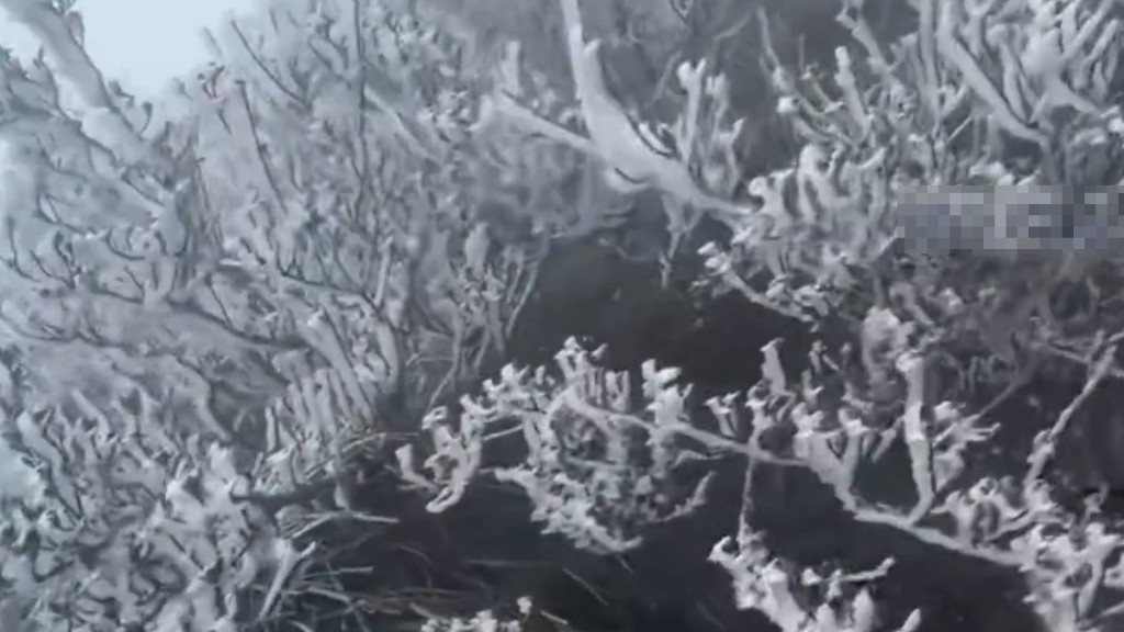 清遠金子山受寒流影響，山上出現冰掛。