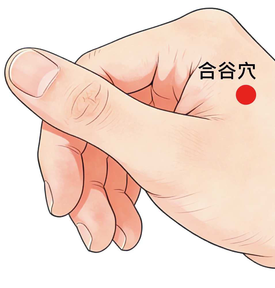 合谷穴(手背虎口處) 合谷穴(手背虎口處)