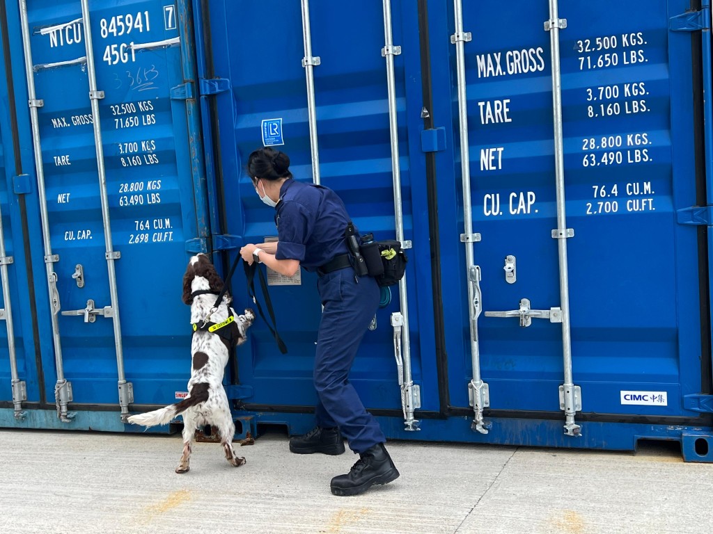 领犬员带领烟草搜查犬于香港内河码头进行嗅查工作。