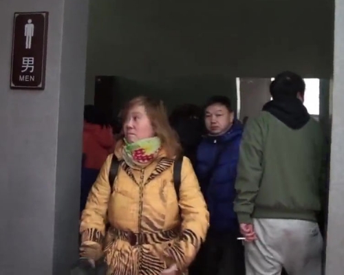 女遊客佔領景區男廁所。(網圖)