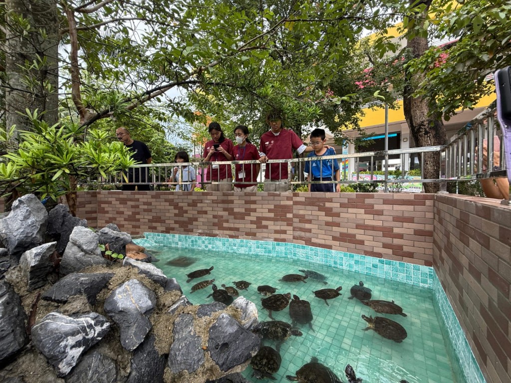 動物守護學長仔細檢查烏龜,並了解牠們新的居住環境和健康狀況。 動物守護學長仔細檢查烏龜,並了解牠們新的居住環境和健康狀況。
