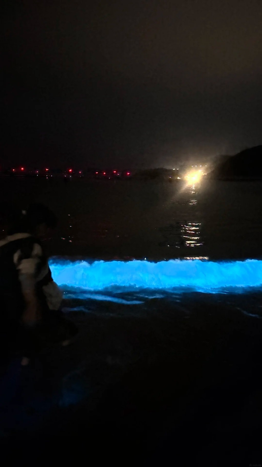 福建平潭“蓝眼泪”是著名的自然奇观。小红书@泡泡芙小姐