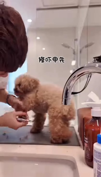 馬貫東幫Gaga修甲。 馬貫東幫Gaga修甲。