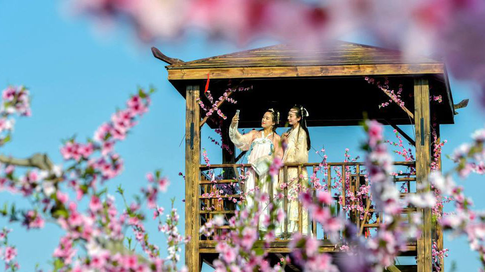 遊人賞花情況。新華社圖