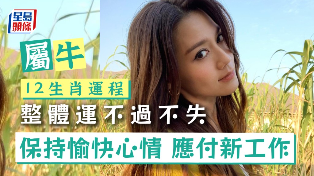 生肖運程|屬牛整體運不過不失 保持愉快心情 應付新工作