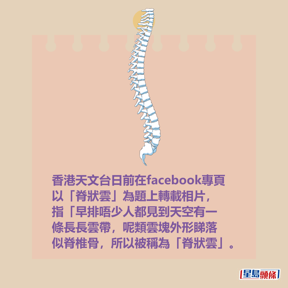 香港天文台日前在facebook專頁 以「脊狀雲」為題上轉載相片, 指「早排唔少人都見到天空有一 條長長雲帶,呢類雲塊外形睇落 似脊椎骨,所以被稱為「脊狀雲」。 香港天文台日前在facebook專頁 以「脊狀雲」為題上轉載相片, 指「早排唔少人都見到天空有一 條長長雲帶,呢類雲塊外形睇落 似脊椎骨,所以被稱為「脊狀雲」。