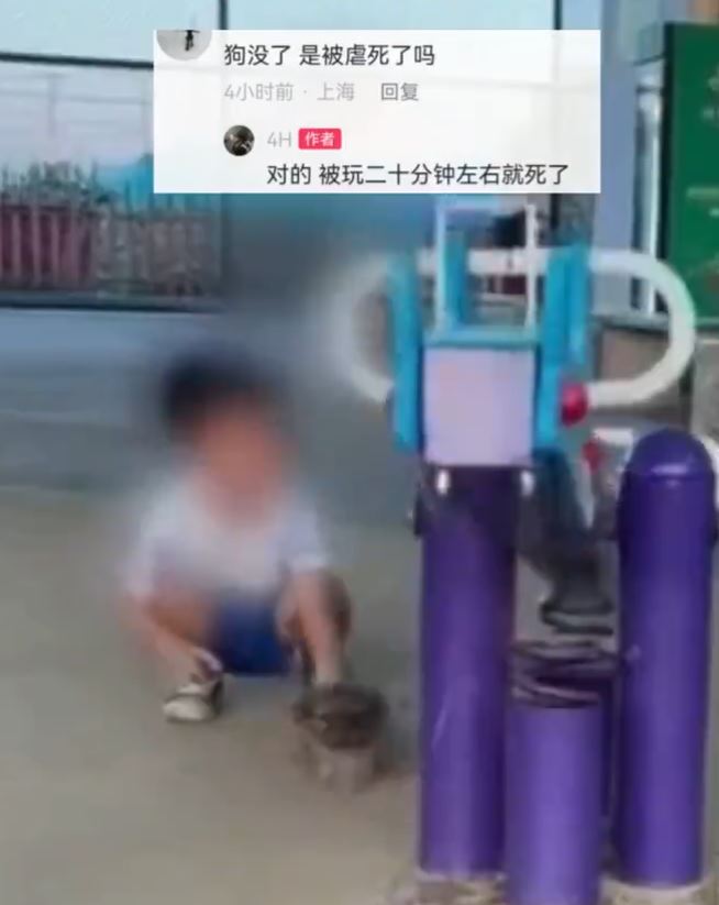 江苏男童用摇摇板将小狗监生挞死，家长全程未阻止。微博