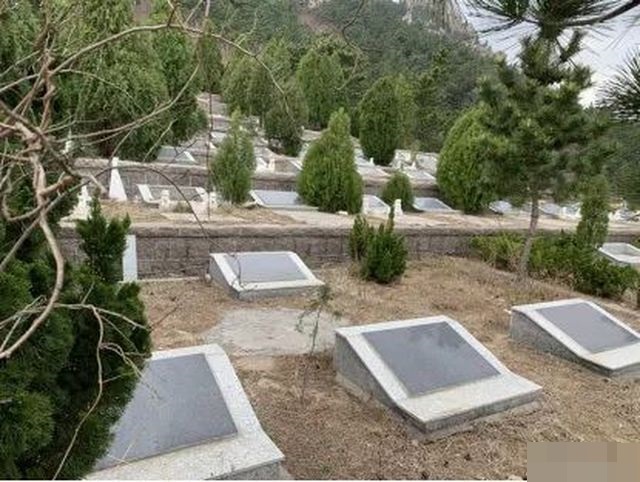 嶗山風景區內有6萬多座違規建造的墳墓。網圖